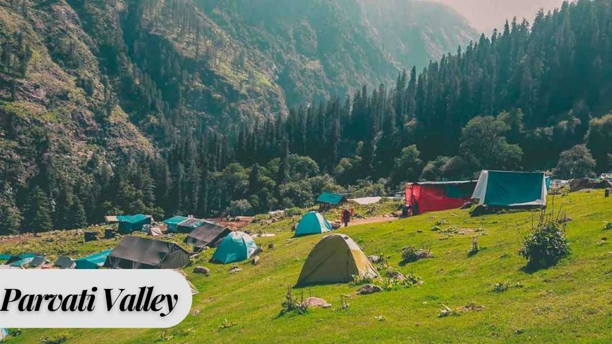 Parvati Valley Vibes: More Than Just Scenery Parvati Valley Vibes: More Than Just Scenery