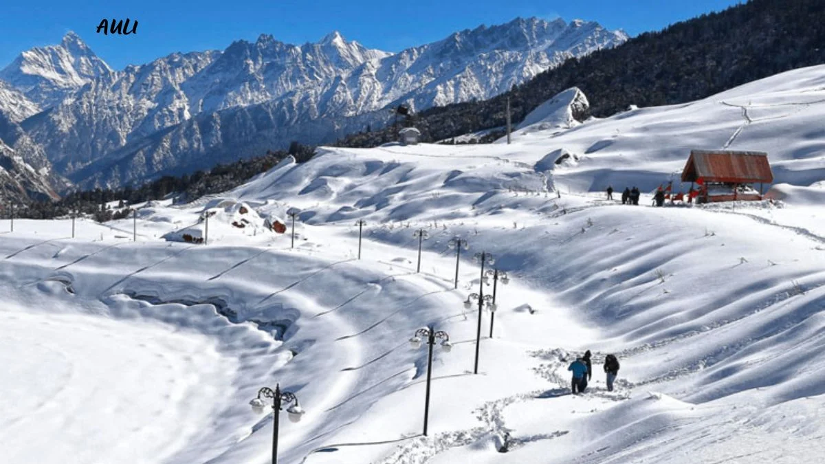 Auli