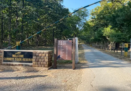 Nainital and Jim Corbett 4 Days Trip Planning with all Details