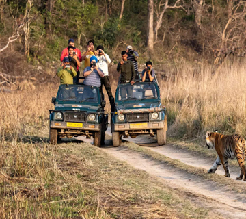 Noida to Jim Corbett